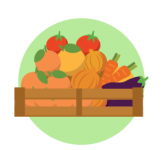 ICONS-02.png
